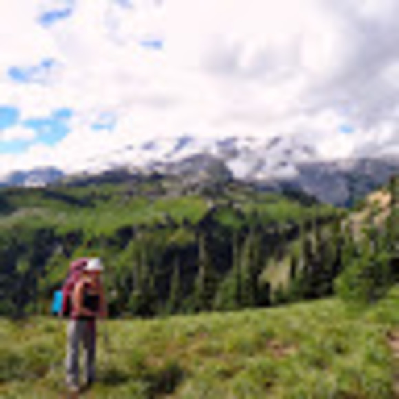 Meet your Posher, Cassandra - Picture 1 of 1